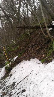 180(W)×320(H) 44.88