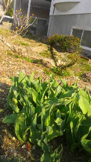 180(W)×320(H) 49.57