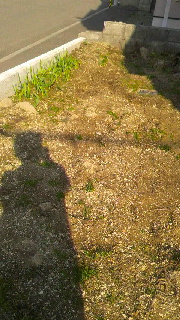 180(W)×320(H) 47.06