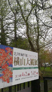 180(W)×320(H) 51.31