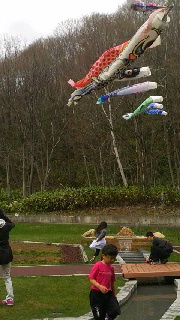 180(W)×320(H) 38.95