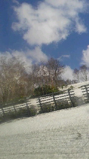 180(W)×320(H) 30.87