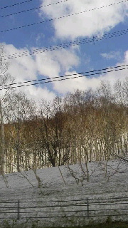 180(W)×320(H) 36.62