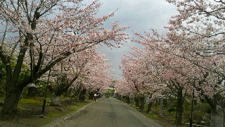 320(W)×180(H) 44.83