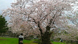 320(W)×180(H) 48.76