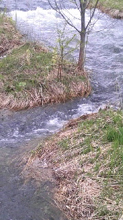 180(W)×320(H) 47.66