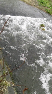 180(W)×320(H) 40.48