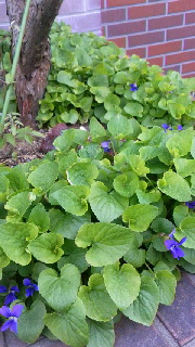 180(W)×320(H) 46.41