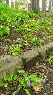 180(W)×320(H) 56.93