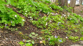 320(W)×180(H) 61.56