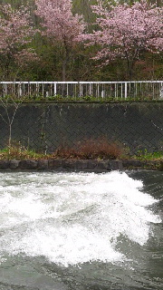 180(W)×320(H) 40.24