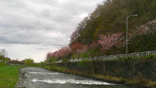 320(W)×180(H) 31.31