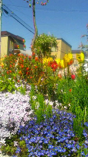 180(W)×320(H) 53.93