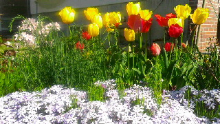 320(W)×180(H) 55.12