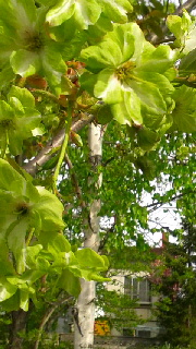 180(W)×320(H) 48.96