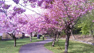 320(W)×180(H) 55.32