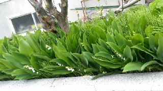 320(W)×180(H) 41.69