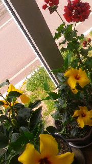 180(W)×320(H) 43.66