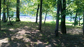 320(W)×180(H) 53.79