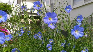 320(W)×180(H) 54.66