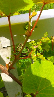 180(W)×320(H) 38.74