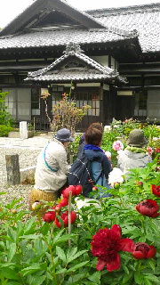 180(W)×320(H) 49.81