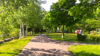 320(W)×180(H) 55.33