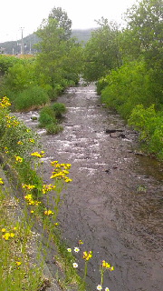 180(W)×320(H) 43.65