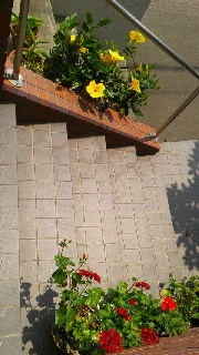 180(W)×320(H) 44.07