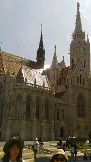 180(W)×320(H) 31.66