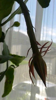 180(W)×320(H) 28.43