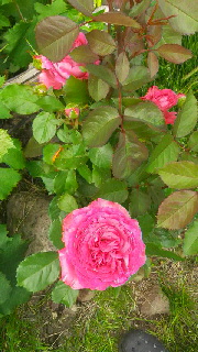 ファイル名: 2016070117360000.jpg
ファイルサイズ: 47.89KB 180(W)×320(H) 47.89