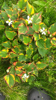 ファイル名: 2016070117450000.jpg
ファイルサイズ: 60.86KB 180(W)×320(H) 60.86