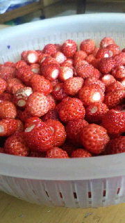 180(W)×320(H) 36.97