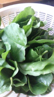 180(W)×320(H) 34.08