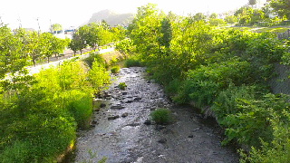 320(W)×180(H) 47.19