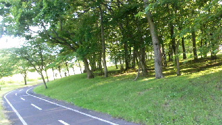 320(W)×180(H) 49.07