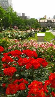 180(W)×320(H) 49.67