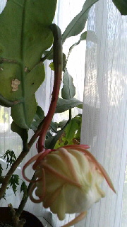 180(W)×320(H) 33.22