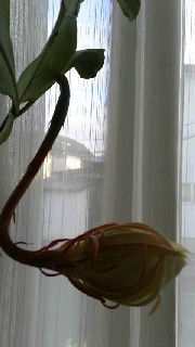 180(W)×320(H) 26.85