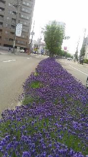 180(W)×320(H) 42.35