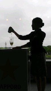 180(W)×320(H) 16.33