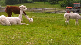 320(W)×180(H) 41.57