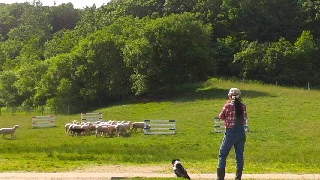 320(W)×180(H) 40.99