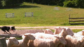 320(W)×180(H) 39.96