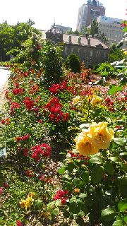 180(W)×320(H) 61.59