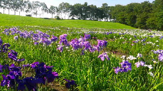 320(W)×180(H) 59.88