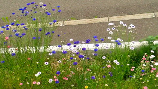 320(W)×180(H) 48.66