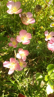 180(W)×320(H) 57.41