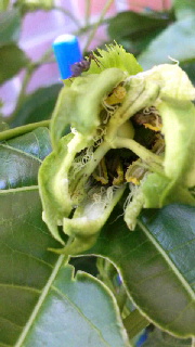 180(W)×320(H) 34.69